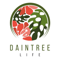 Daintree Life